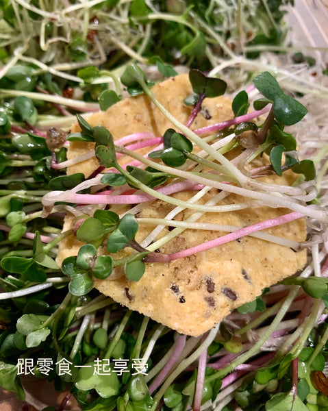Holiday snack time with tasty microgreens !