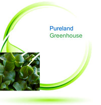 Pureland® Greenhouse