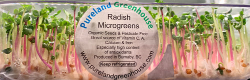 Organic radish seeds