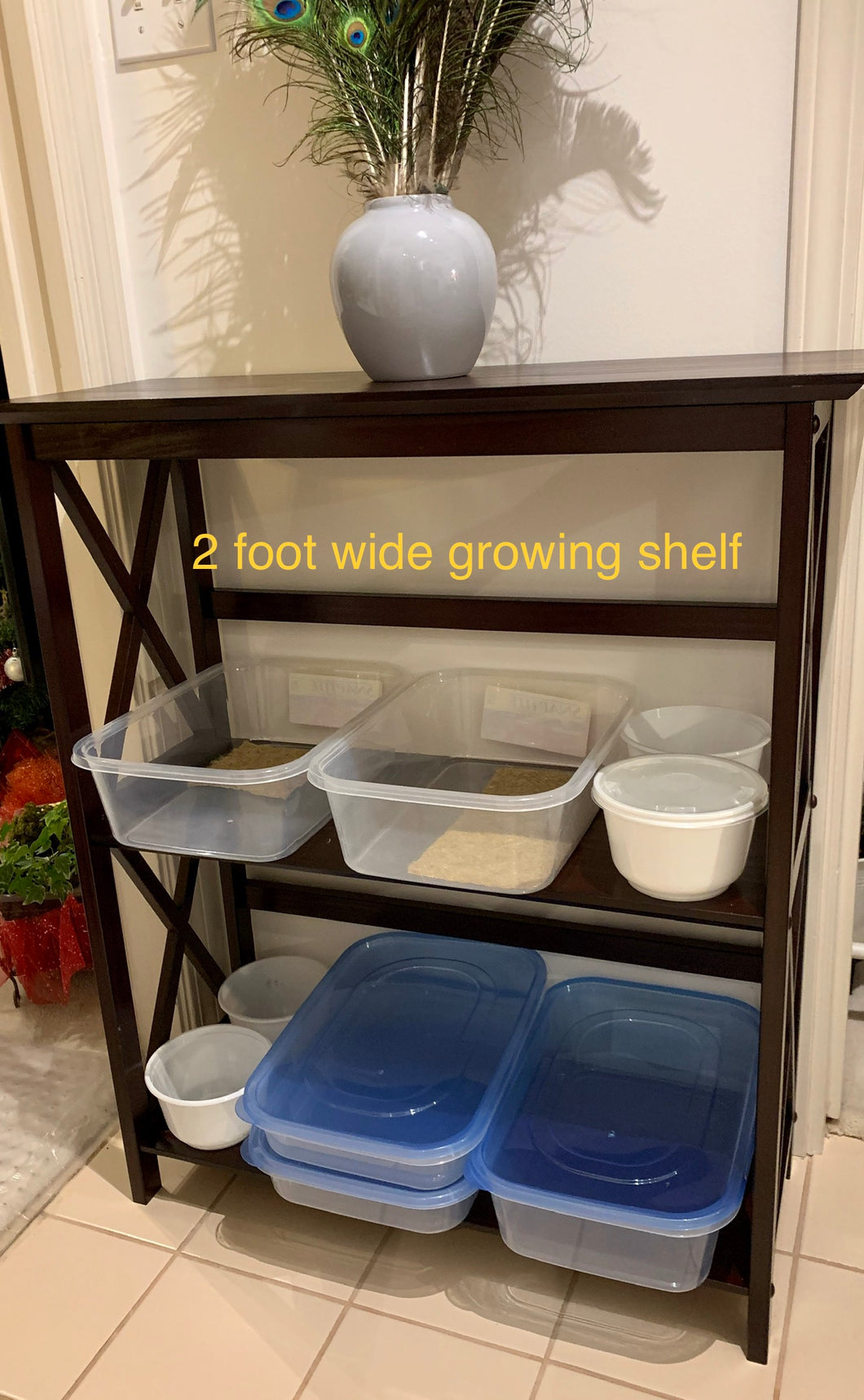 Two foot growing shelf