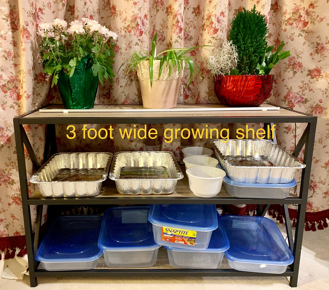 Three foot growing shelf